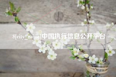 宿迁中国执行信息公开平台