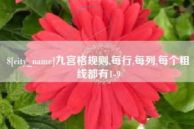 宿迁九宫格规则,每行,每列,每个粗线都有1-9