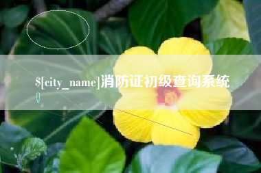 宿迁消防证初级查询系统