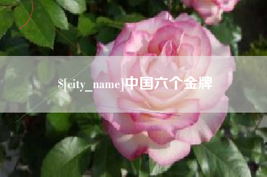 宿迁中国六个金牌