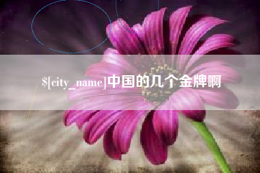 宿迁中国的几个金牌啊