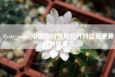 宿迁中国执行信息公开网信息更新时间是多久