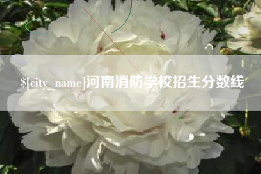 宿迁河南消防学校招生分数线