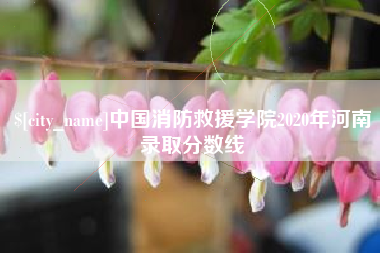 宿迁中国消防救援学院2020年河南录取分数线