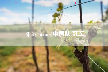 宿迁中国队 冠军