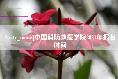 宿迁中国消防救援学院2021年报名时间