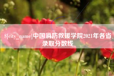 宿迁中国消防救援学院2021年各省录取分数线