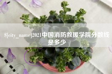 宿迁2021中国消防救援学院分数线是多少