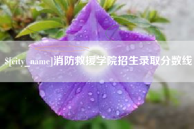宿迁消防救援学院招生录取分数线