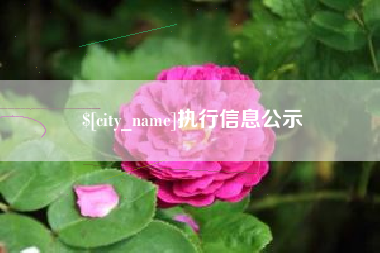 宿迁执行信息公示