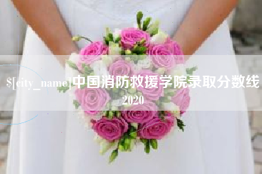 宿迁中国消防救援学院录取分数线2020