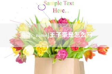 宿迁王子豪是怎么写