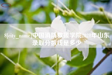 宿迁中国消防救援学院2021年山东录取分数线是多少