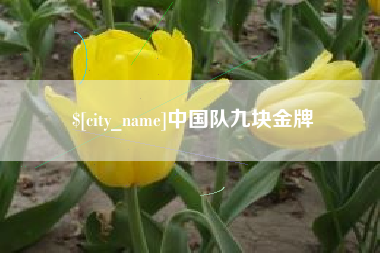 宿迁中国队九块金牌