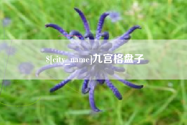 宿迁九宫格盘子