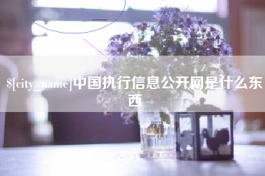 宿迁中国执行信息公开网是什么东西