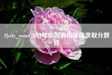 宿迁2021年中国消防学院录取分数线