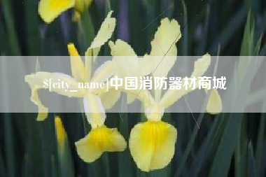 宿迁中国消防器材商城