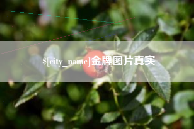 宿迁金牌图片真实
