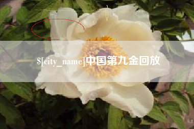 宿迁中国第九金回放