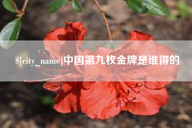 宿迁中国第九枚金牌是谁得的