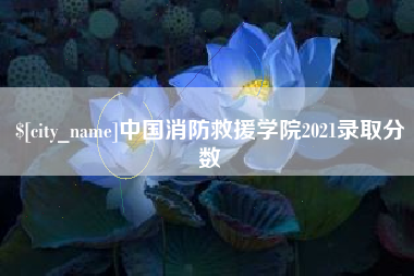 宿迁中国消防救援学院2021录取分数