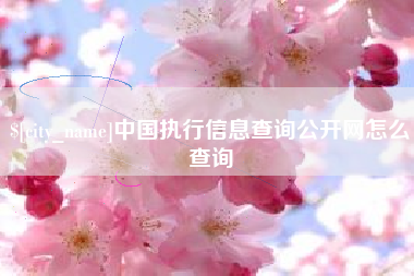 宿迁中国执行信息查询公开网怎么查询