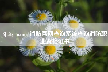 宿迁消防官网查询系统查询消防职业资格证书