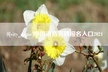 宿迁中国消防官网报名入口2024