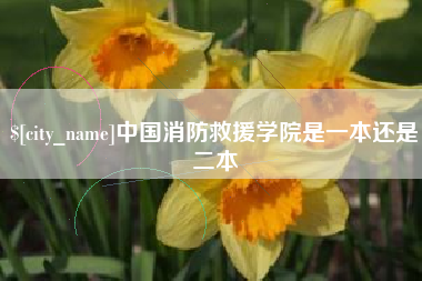 宿迁中国消防救援学院是一本还是二本