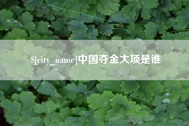 宿迁中国夺金大项是谁