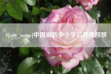 宿迁中国消防中小学公开课回放