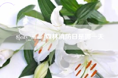 宿迁森林消防日是哪一天