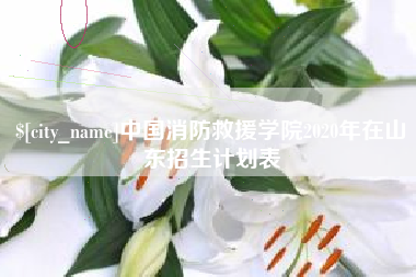 宿迁中国消防救援学院2020年在山东招生计划表