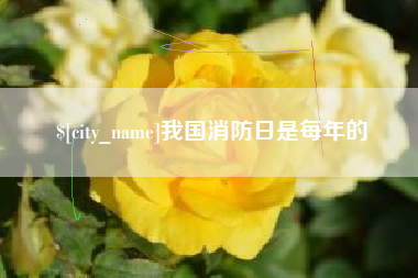 宿迁我国消防日是每年的
