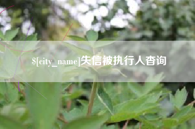 宿迁失信被执行人杳询