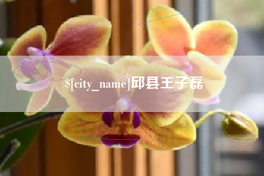 宿迁邱县王子磊
