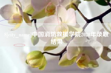 宿迁中国消防救援学院2020年录取结果