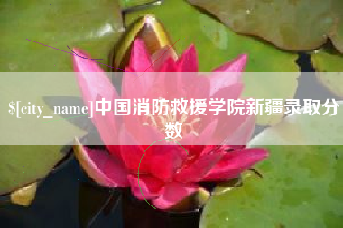 宿迁中国消防救援学院新疆录取分数