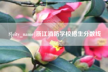 宿迁浙江消防学校招生分数线
