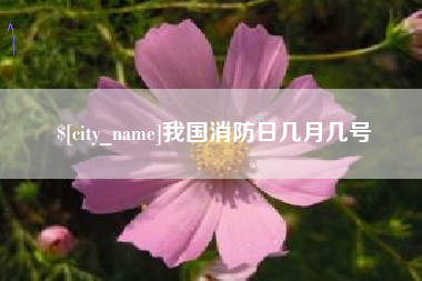 宿迁我国消防日几月几号