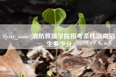 宿迁消防救援学院报考条件湖南招生多少分