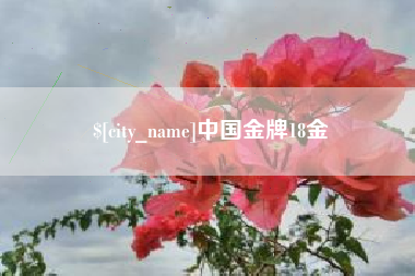 宿迁中国金牌18金