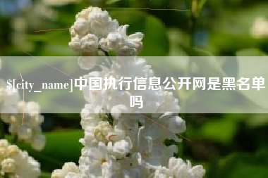 宿迁中国执行信息公开网是黑名单吗