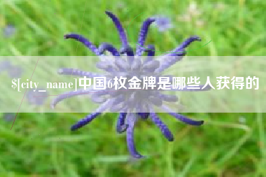 宿迁中国6枚金牌是哪些人获得的