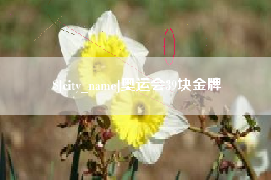 宿迁奥运会39块金牌