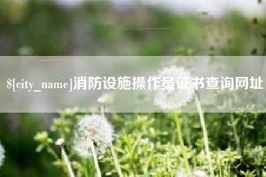 宿迁消防设施操作员证书查询网址