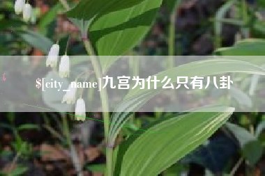 宿迁九宫为什么只有八卦