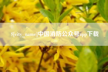 宿迁中国消防公众号app下载