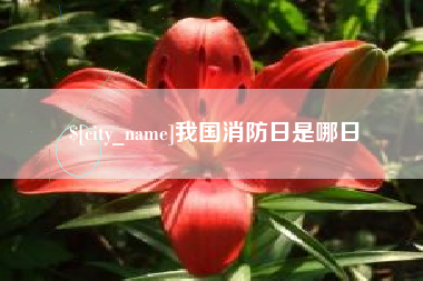 宿迁我国消防日是哪日